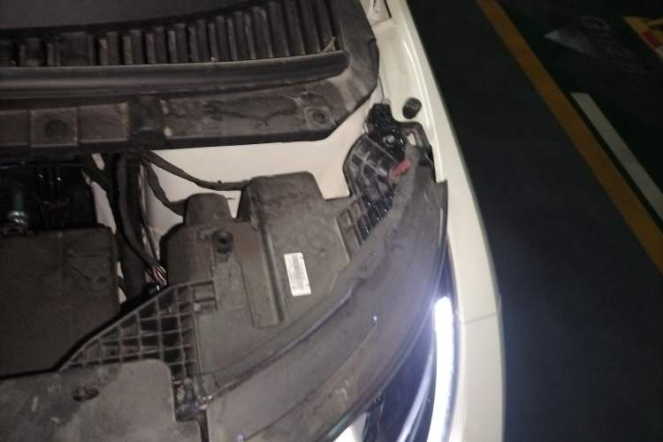 Used BYD Dolphin 2025 420km Free Edition Engine Bay Left
