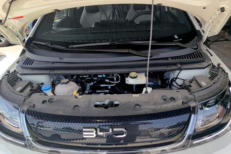Used BYD Dolphin 2025 420km Free Edition Engine Bay