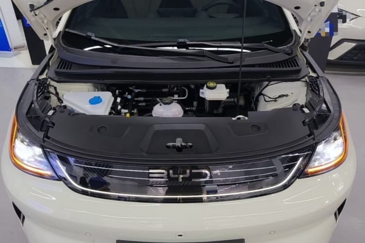 Used BYD Dolphin 2025 Intelligent Driving Version 410 km Fashion Edition Engine Bay