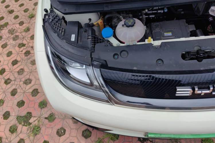 Used BYD Dolphin 2025 420km Active Version Engine Bay Right