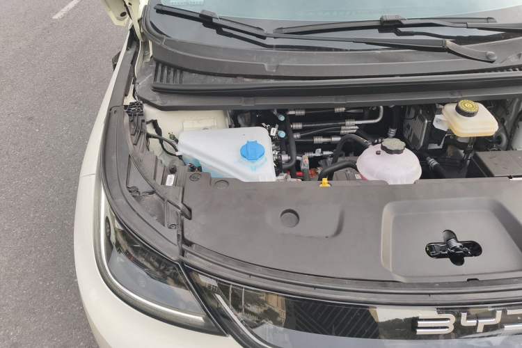 Used BYD Dolphin 2025 Smart Drive Version 420 km Freedom Edition Engine Bay Right