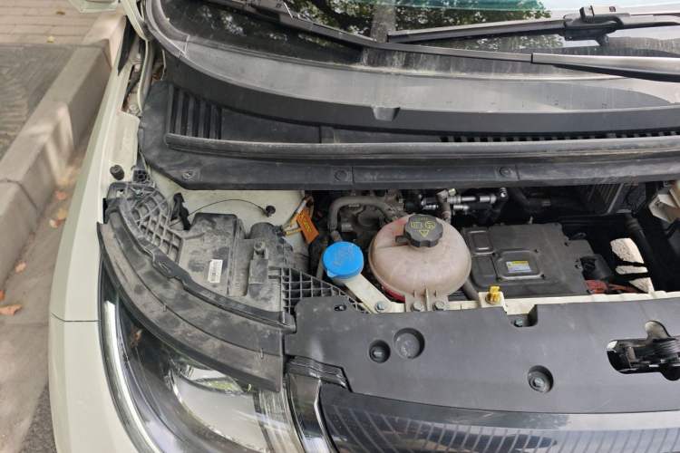 Used BYD Dolphin 2025 420km Free Edition Engine Bay Right