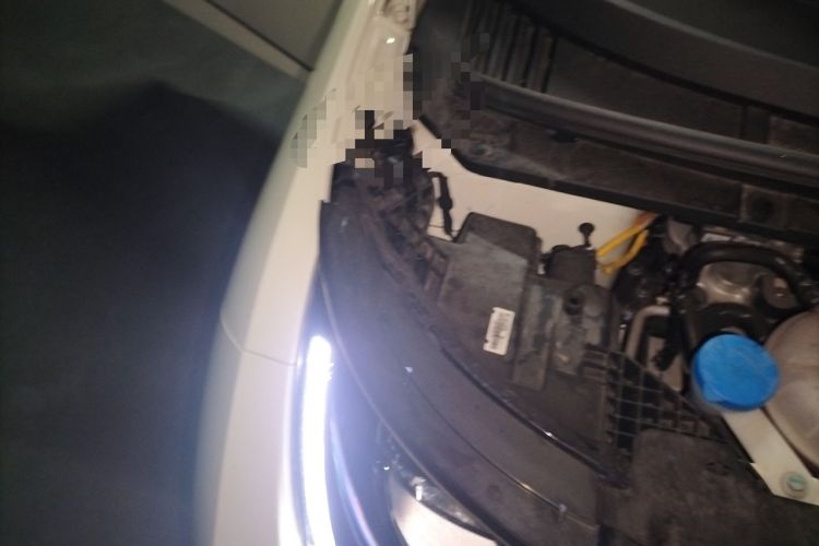 Used BYD Dolphin 2025 420km Free Edition Engine Bay Right