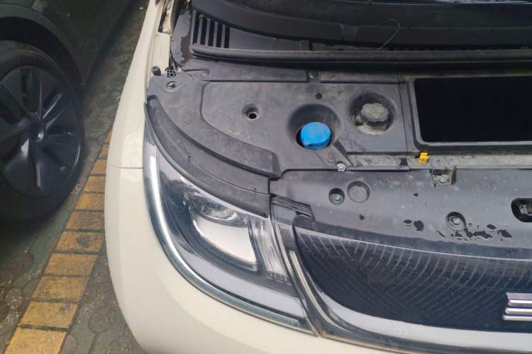 Used BYD Dolphin 2025 420km Free Edition Engine Bay Right