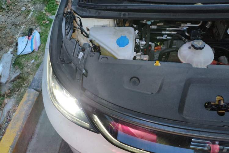 Used BYD Dolphin 2025 Intelligent Driving Version 520km Range Knight Edition Engine Bay Right
