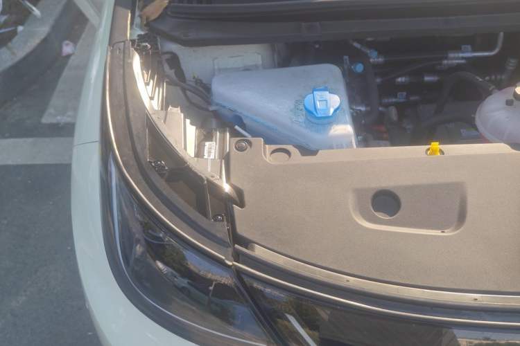 Used BYD Dolphin 2025 Smart Drive Version 420 km Freedom Edition Engine Bay Right