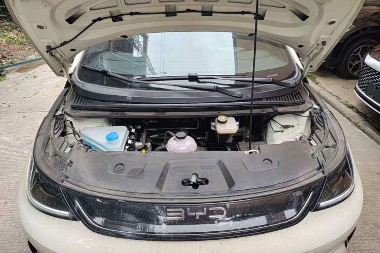 Used BYD Dolphin 2025 Smart Drive Version 420 km Freedom Edition Engine Bay