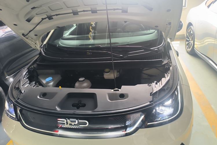 Used BYD Dolphin 2025 Intelligent Driving Version 410 km Fashion Edition Engine Bay