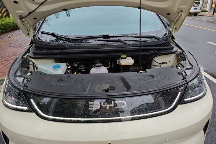 Used BYD Dolphin 2025 Intelligent Driving Version 520km Range Knight Edition Engine Bay