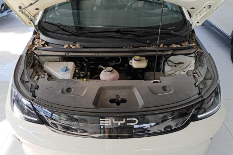 Used BYD Dolphin 2025 Intelligent Driving Version 410 km Fashion Edition Engine Bay
