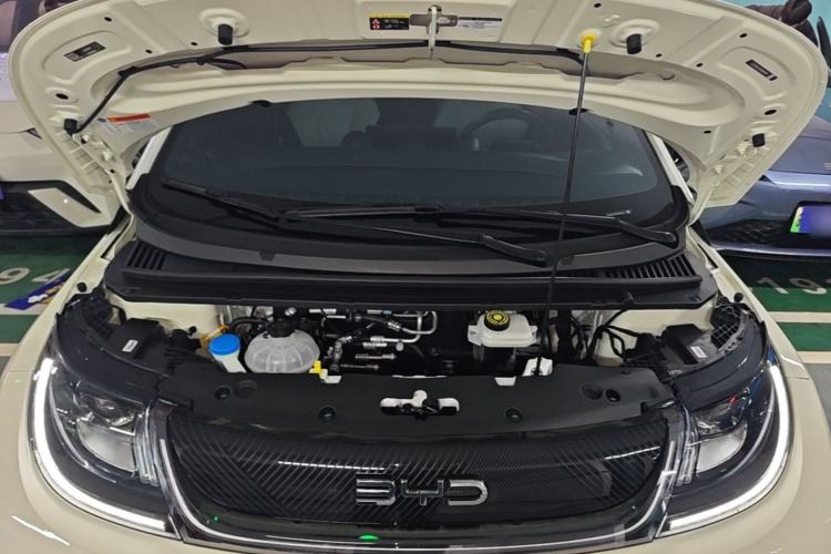 Used BYD Dolphin 2025 420km Free Edition Engine Bay
