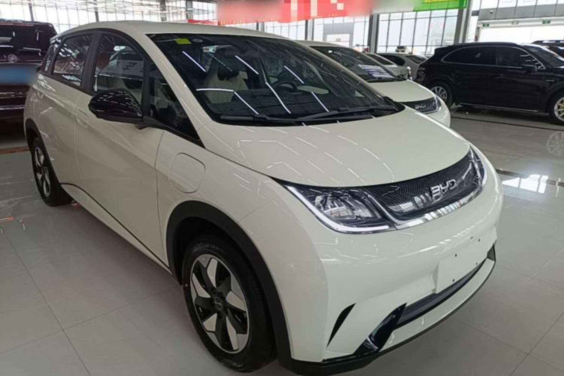 Used BYD Dolphin 2025 420km Free Edition Exterior 1