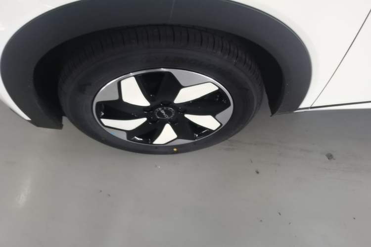 Used BYD Dolphin 2025 420km Free Edition Exterior 1