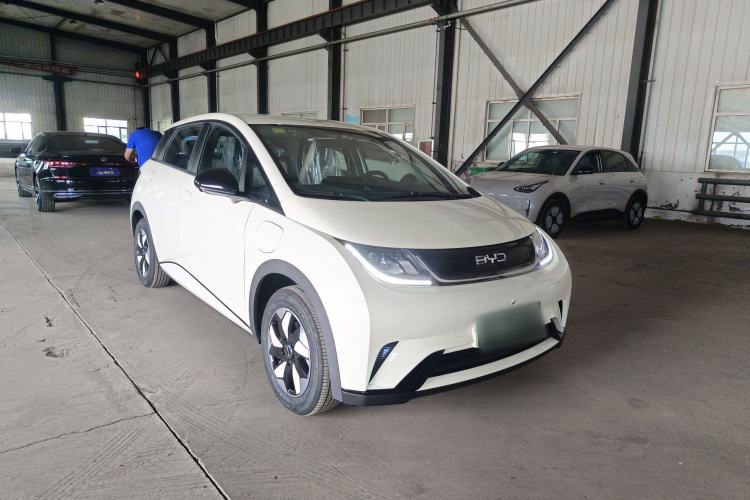 Used BYD Dolphin 2025 420km Free Edition Exterior 1