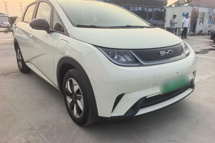 Used BYD Dolphin 2025 420km Free Edition Exterior 1