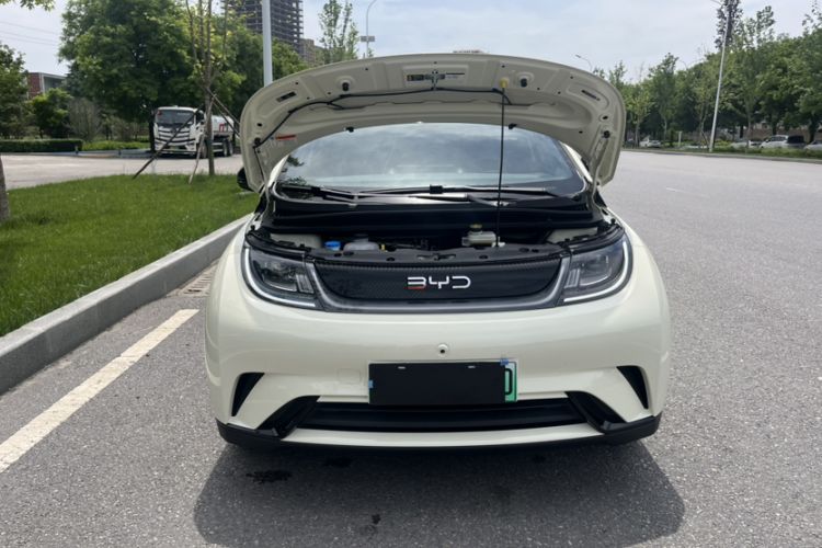 Used BYD Dolphin 2025 420km Free Edition Exterior 1