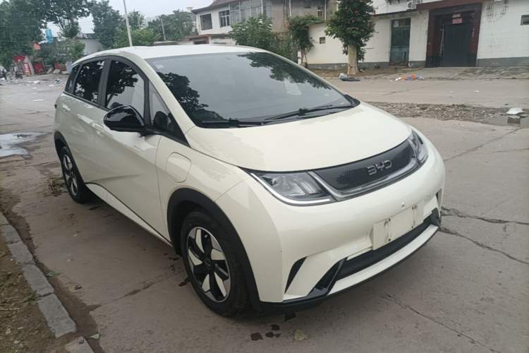 Used BYD Dolphin 2025 420km Free Edition Exterior 1