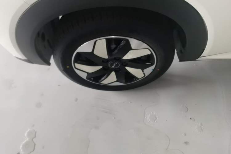 Used BYD Dolphin 2025 420km Free Edition Exterior 2