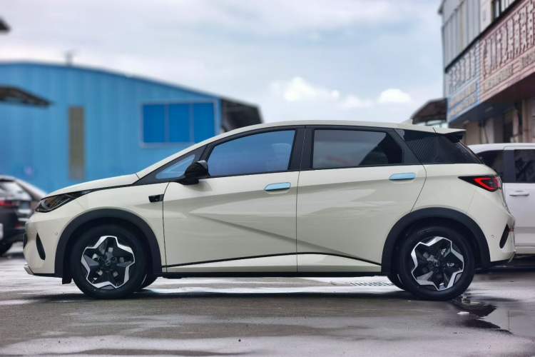 Used BYD Dolphin 2025 Smart Drive Version 420 km Freedom Edition Exterior 2
