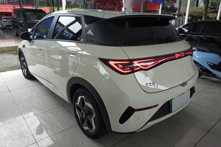 Used BYD Dolphin 2025 Smart Drive Version 420 km Freedom Edition Exterior 2