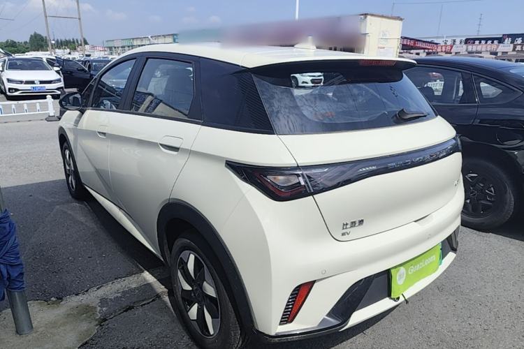 Used BYD Dolphin 2025 420km Free Edition Exterior 2
