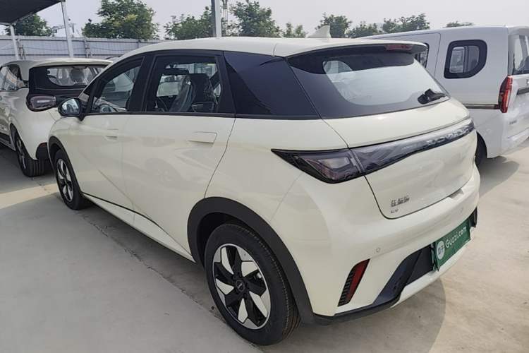 Used BYD Dolphin 2025 420km Free Edition Exterior 2