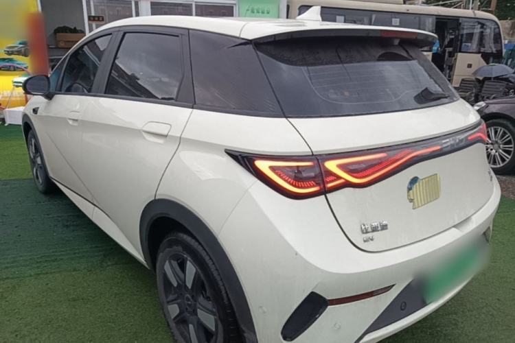 Used BYD Dolphin 2025 Intelligent Driving Version 520km Range Knight Edition Exterior 2