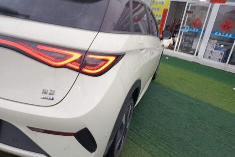 Used BYD Dolphin 2025 Intelligent Driving Version 520km Range Knight Edition Exterior 3