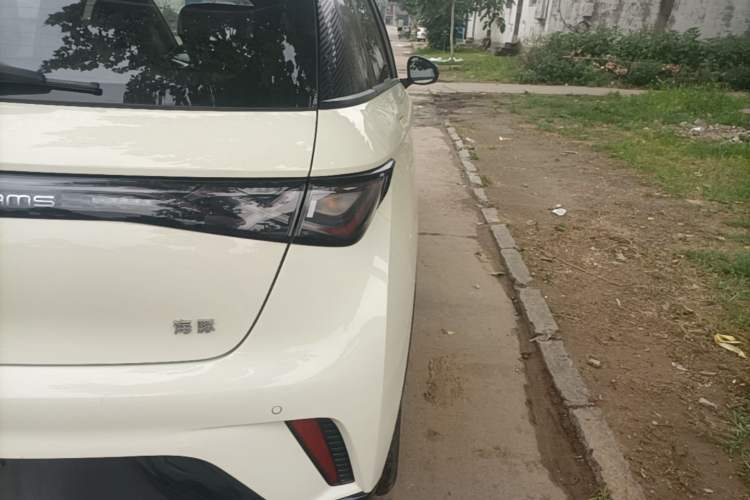 Used BYD Dolphin 2025 420km Free Edition Exterior 3