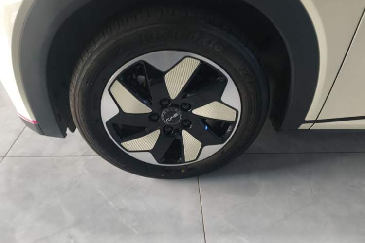 Used BYD Dolphin 2025 420km Fashion Edition Exterior 4