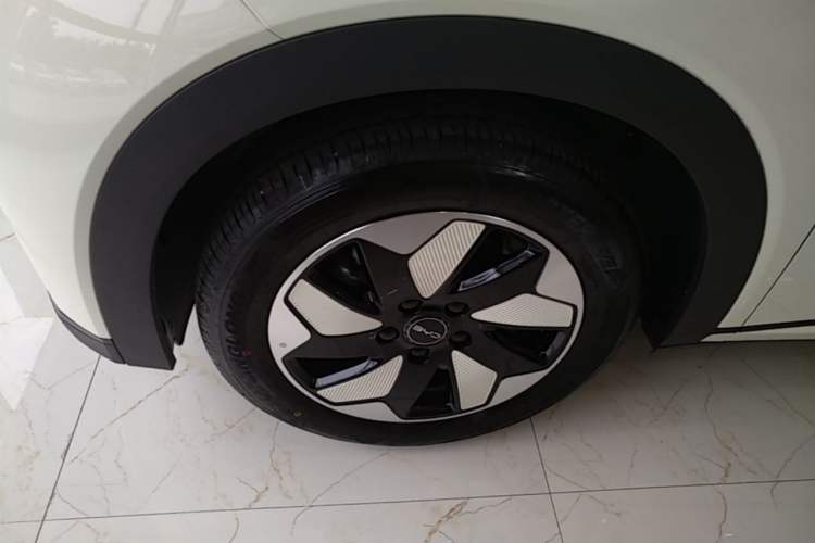 Used BYD Dolphin 2025 420km Free Edition Exterior 4