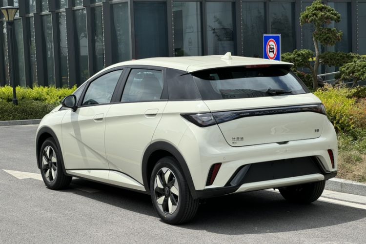Used BYD Dolphin 2025 420km Free Edition Exterior 4