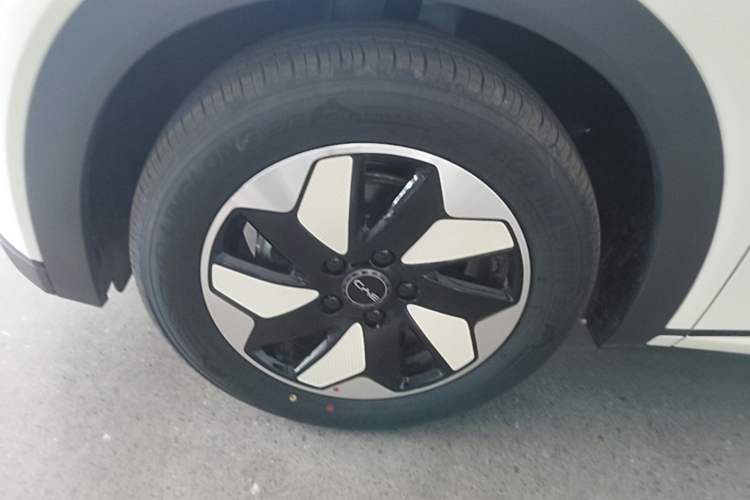 Used BYD Dolphin 2025 420km Free Edition Exterior 4