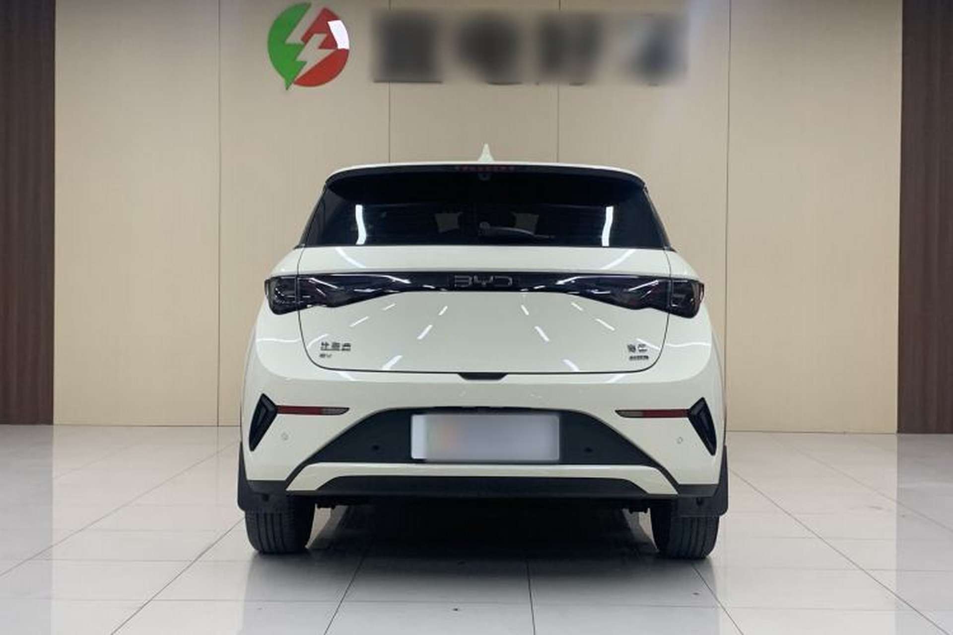Used BYD Dolphin 2025 Smart Drive Version 420 km Freedom Edition Exterior 4
