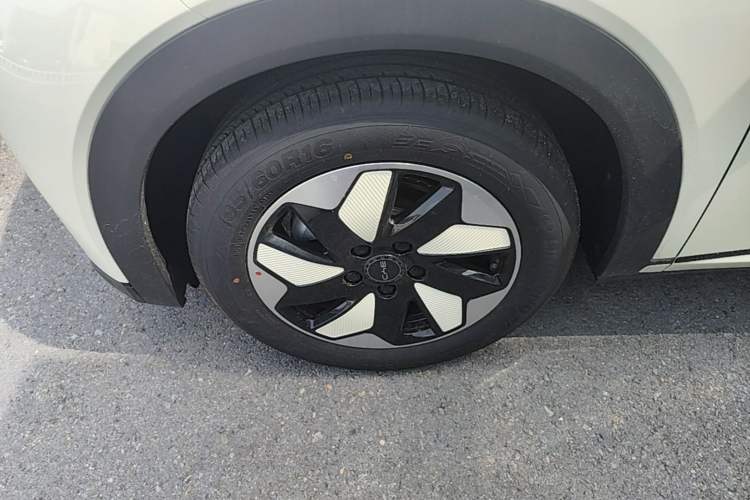 Used BYD Dolphin 2025 420km Free Edition Exterior 4