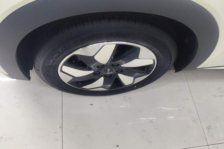 Used BYD Dolphin 2025 420km Free Edition Exterior 4