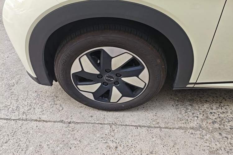 Used BYD Dolphin 2025 420km Free Edition Exterior 4