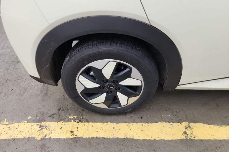 Used BYD Dolphin 2025 420km Free Edition Exterior 5