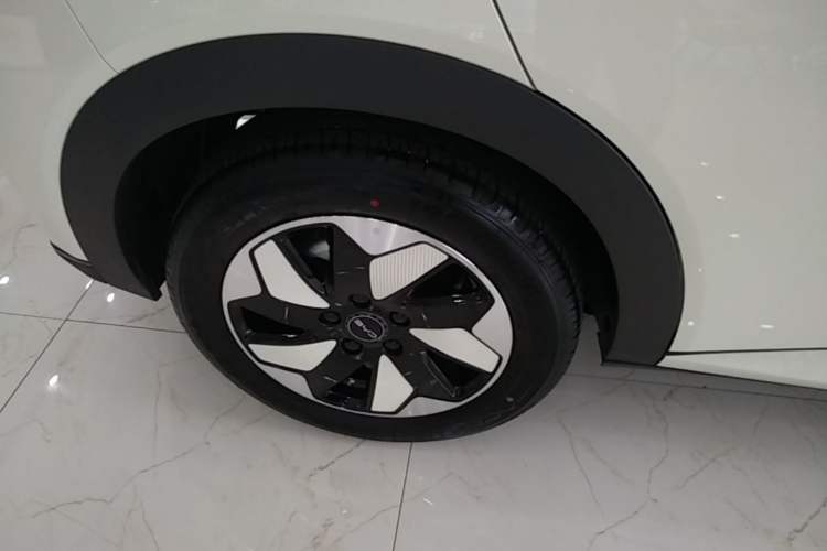 Used BYD Dolphin 2025 420km Free Edition Exterior 5