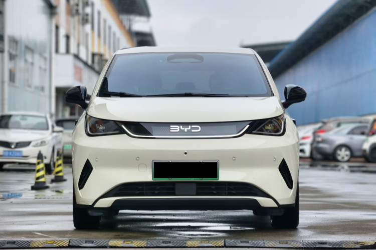 Used BYD Dolphin 2025 Smart Drive Version 420 km Freedom Edition Exterior 5
