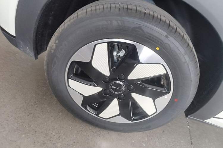Used BYD Dolphin 2025 420km Free Edition Exterior 5