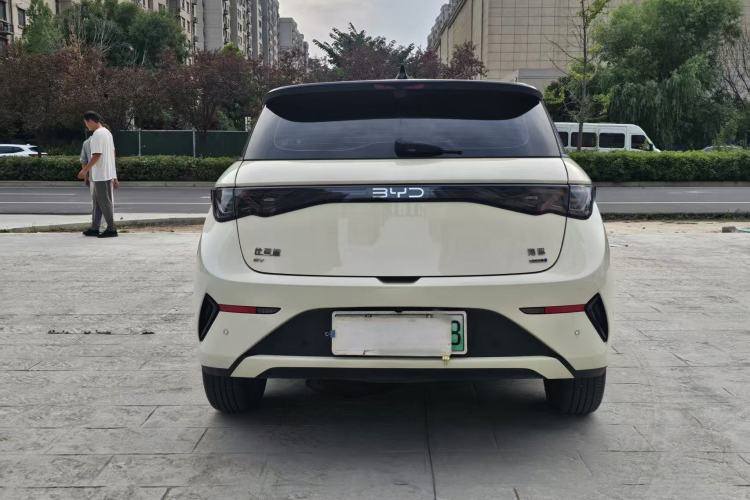 Used BYD Dolphin 2025 Smart Drive Version 420 km Freedom Edition Exterior 5