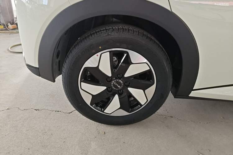 Used BYD Dolphin 2025 420km Free Edition Exterior 5