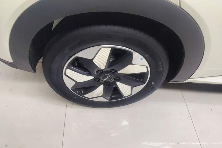 Used BYD Dolphin 2025 420km Free Edition Exterior 5