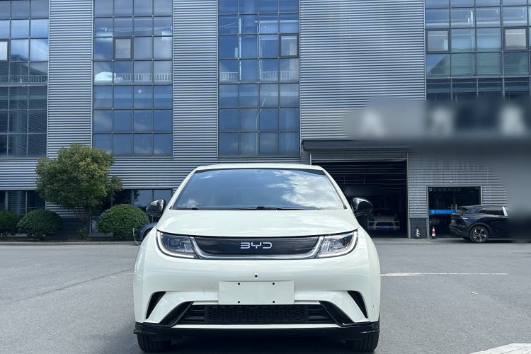 Used BYD Dolphin 2025 420km Free Edition Exterior 5