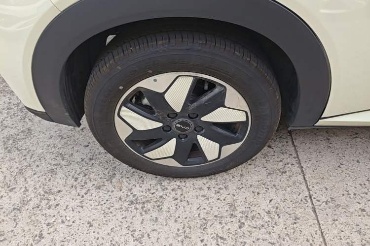 Used BYD Dolphin 2025 420km Free Edition Exterior 5