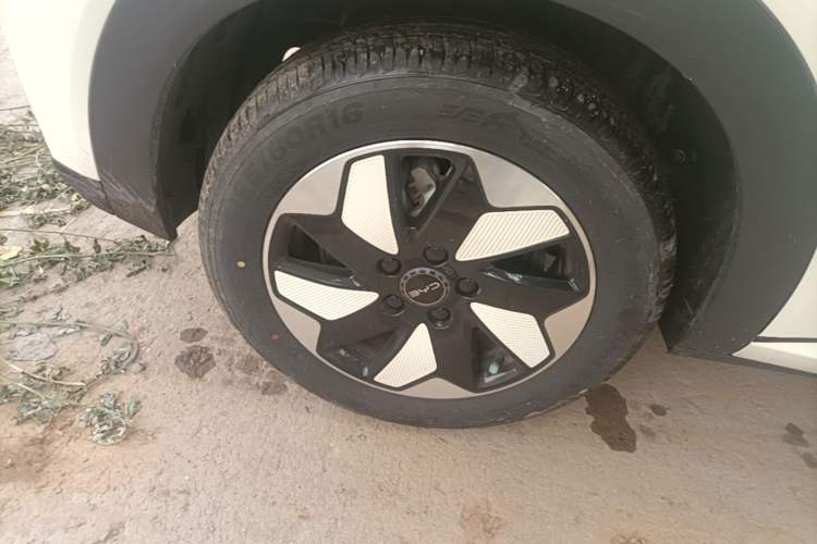 Used BYD Dolphin 2025 420km Free Edition Exterior 5