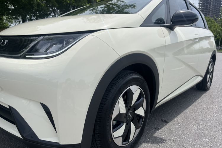 Used BYD Dolphin 2025 420km Free Edition Exterior 6