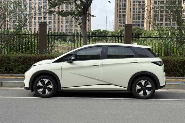 Used BYD Dolphin 2025 420km Free Edition Exterior 7