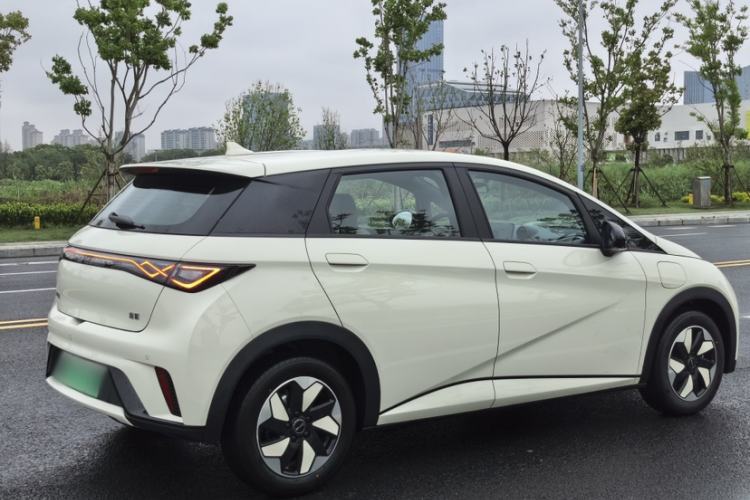 Used BYD Dolphin 2025 420km Free Edition Exterior 8